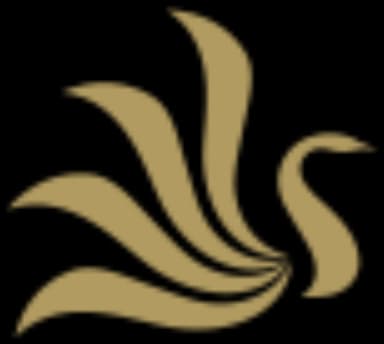 Sansa Med Spa