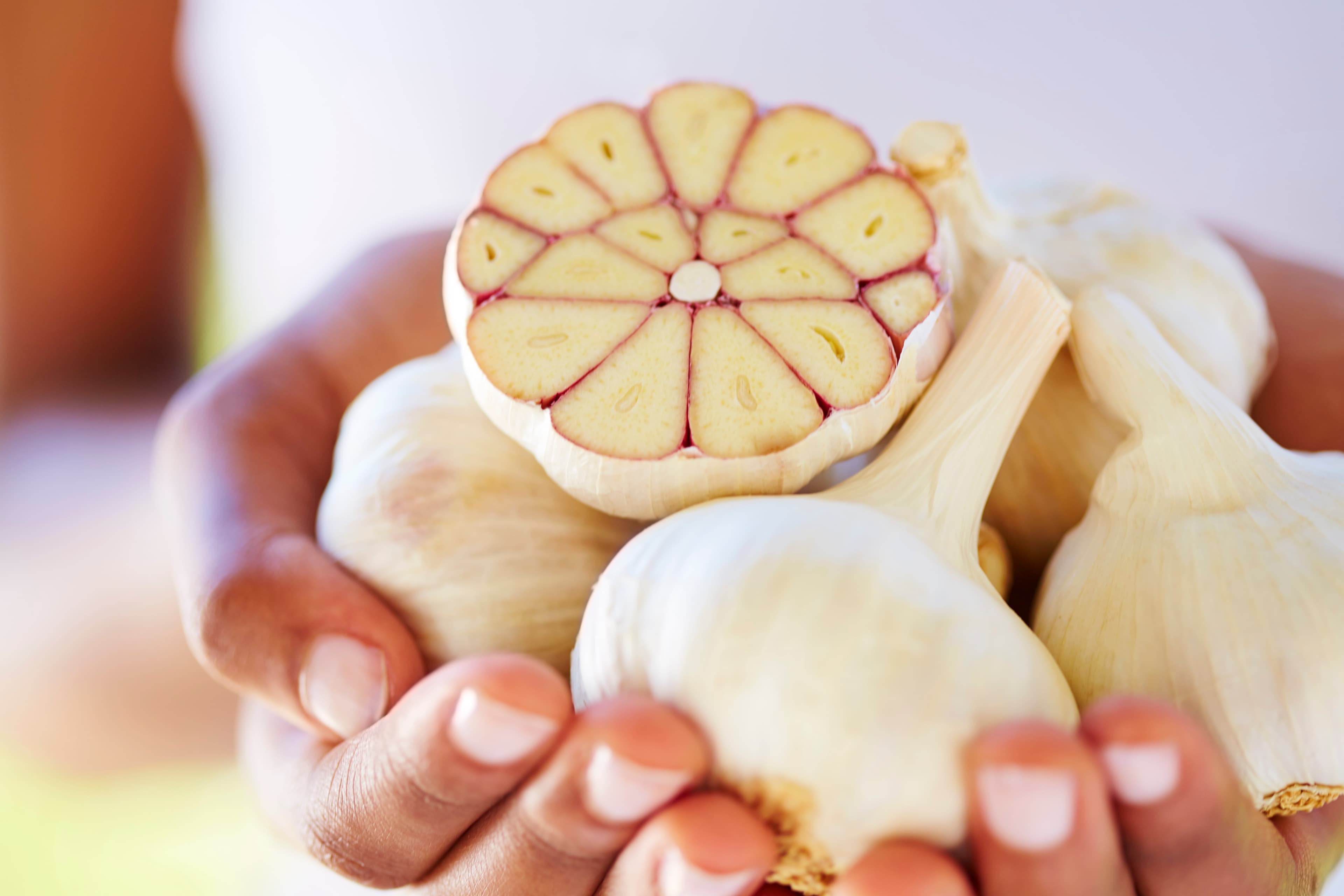 Garlic for Cholesterol