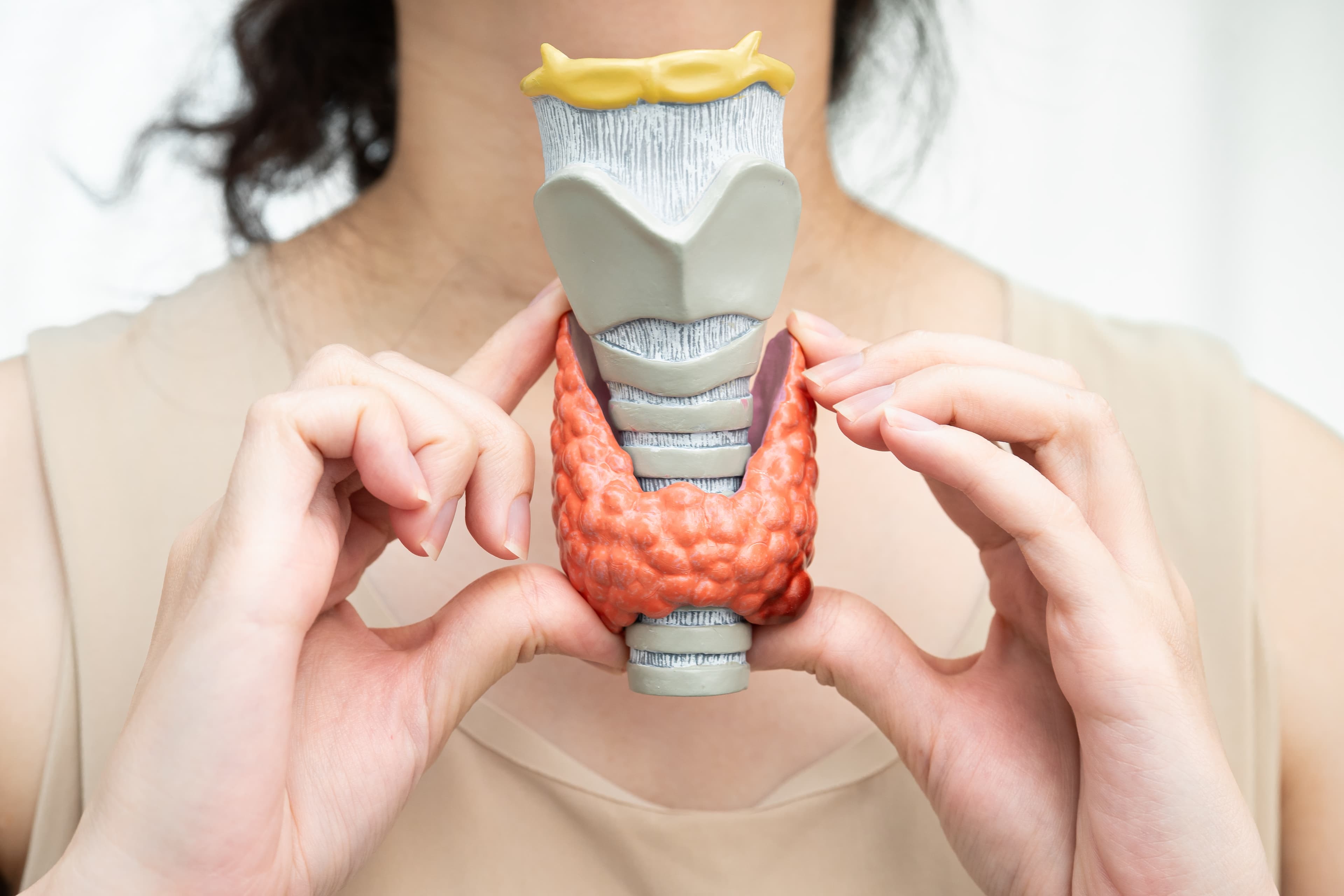 Optimal Thyroid Levels